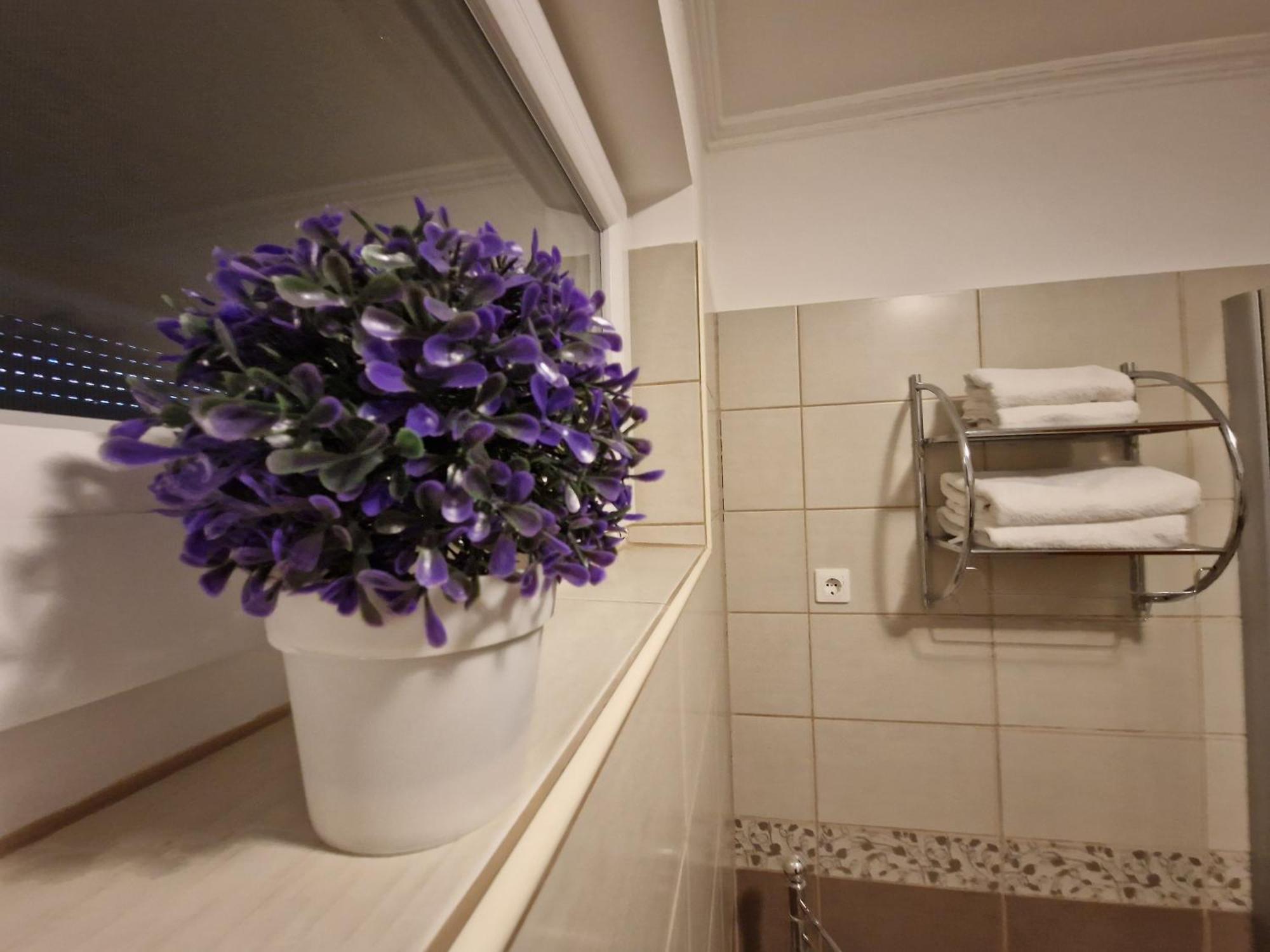 Centrum Business Apartman Szekszard Apartment Bagian luar foto